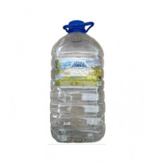 Питьевая вода Сосновый Бор 5 литров ПЭТ