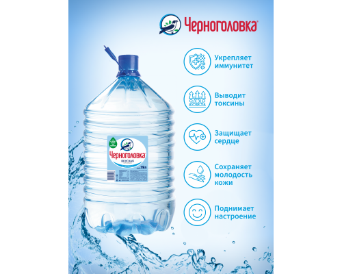 Вода Черноголовка природная питьевая негазированная 19 литров в одноразовой таре